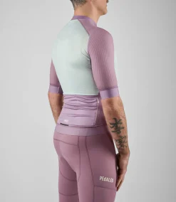 Jersey Lilac