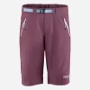 Trail Shorts Purple