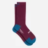Trail Socks Purple